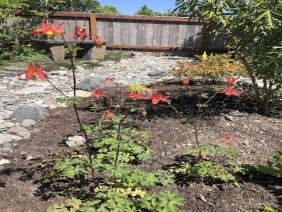 Rutheo Designs - Photo -1