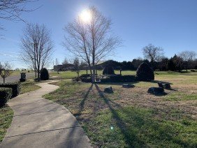 GreenLID Design - Photo 4