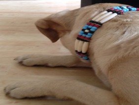 Artworks Alaska - Photo 1