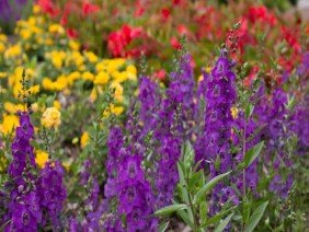 Landscape Workshop - Photo 6