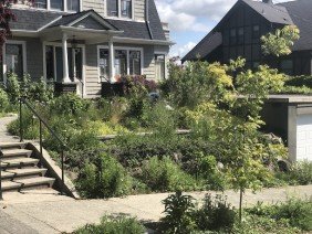 Rutheo Designs - Photo 4