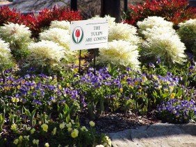 Lakewood Landscape Group - Photo 3