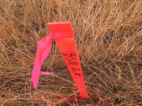 Boundary Surveying & Mapping Inc - Photo 0