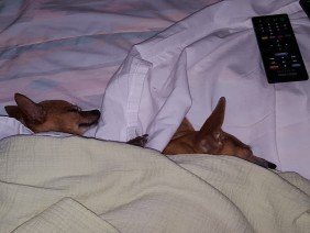 SouthCentral Surveyors of Texas - Photo 3