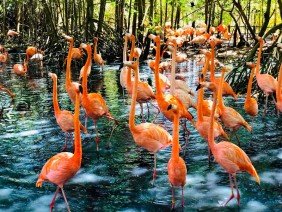 CESI Civil-Geotechnical-Surveying - Photo 3