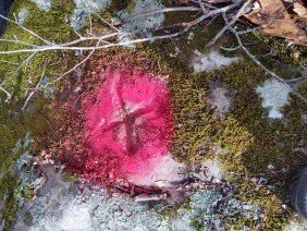 Banks Creek Surveying, Inc. - Photo 3