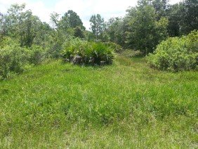James D Blanton Land Surveying - Photo 1
