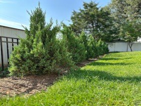 The Outdoor Living Company - Photo 1