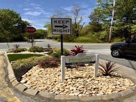 Done Right Landscape & Construction - Photo 4