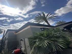 ANSA Painting - Photo -1