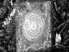 B3 Land Surveyors - Photo 2