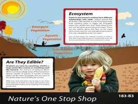 Corvus Design - Photo 1