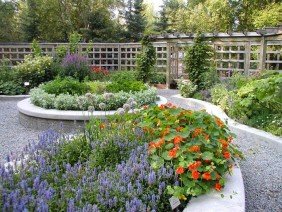 Alaska Botanical Garden - Photo 6