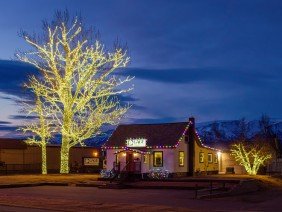 Gage Tree Service - Photo 5