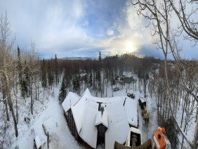 Yard and Tree Care - Photo 2