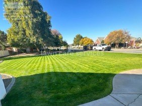 Phoenix Pro Landscaping & Lawn Care Services - Photo 3