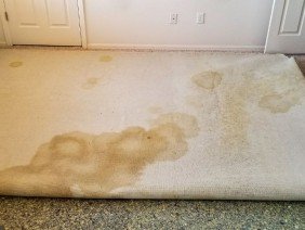 McFarland and Son Flooring - Photo -1