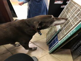 Flooring America Design Center of Massachusetts - Photo 3