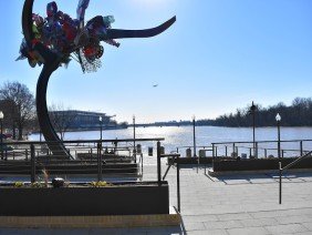 Capitol Iron Works - Photo 0