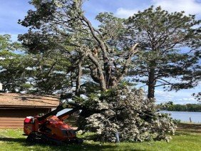 Northern Tree and Landscaping Service, LLC - Photo 2