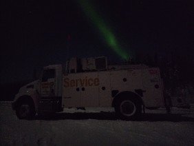 NC The Cat Rental Store - Photo 1