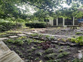 AE Quality Landscaping - Photo 3