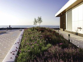 Damon Farber Landscape Architects - Photo 5