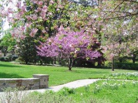 Maxalea, Inc. - Photo 6