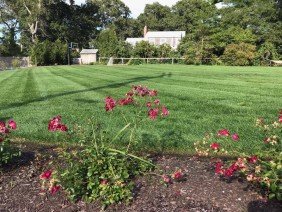 B.C. Murphy Design, Inc. - Photo 3