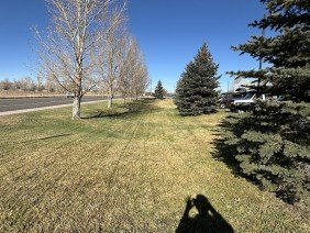 Snowy Range Scapes - Photo 0