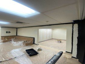 That 1 Painter Phoenix - Photo 3
