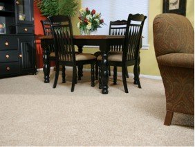 Carpet Specialist - Photo 4