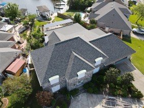 Roof Gecko - Photo -1