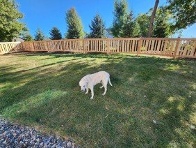 MN Mike's Fence and Repair - Photo 3