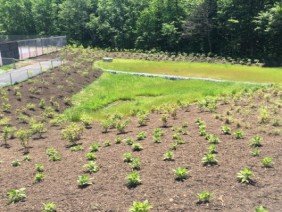 Essayons Engineering Services, LLC - Photo 3