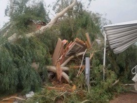 Land Technics - Photo 3