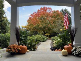 Natural Concerns Inc - Photo 6