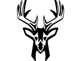 Whitetail Land Surveying - Photo 0