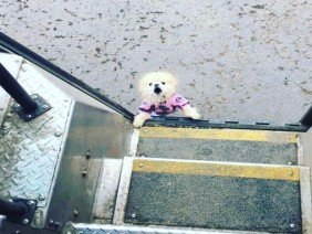 FRS Roofing + Gutters - Photo 3