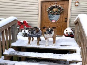 Great Lakes Fencing Inc. - Photo 2