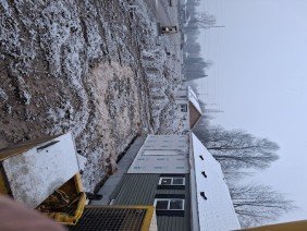 Central Michigan Crane - Photo 1