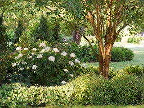 TDH Landscaping - Photo 2