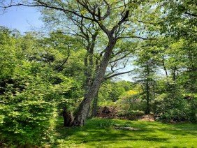 Demolition plus - Photo 1