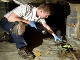 Crawl Space Brothers - Photo 3