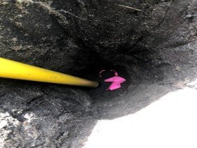 Holmberg Land Surveying - Photo 0