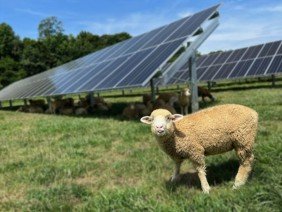 Sunrise Solar Inc. - Photo 2