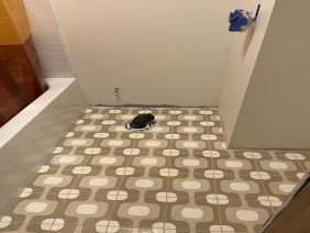 Banner’s construction - Photo 0