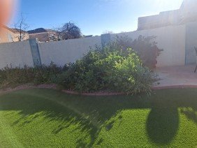 Pro Natural Landscape LLC - Photo -1