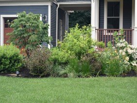 Moodscapes LLC - Photo 5