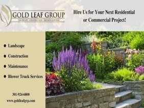 Gold Leaf Group - Photo 4